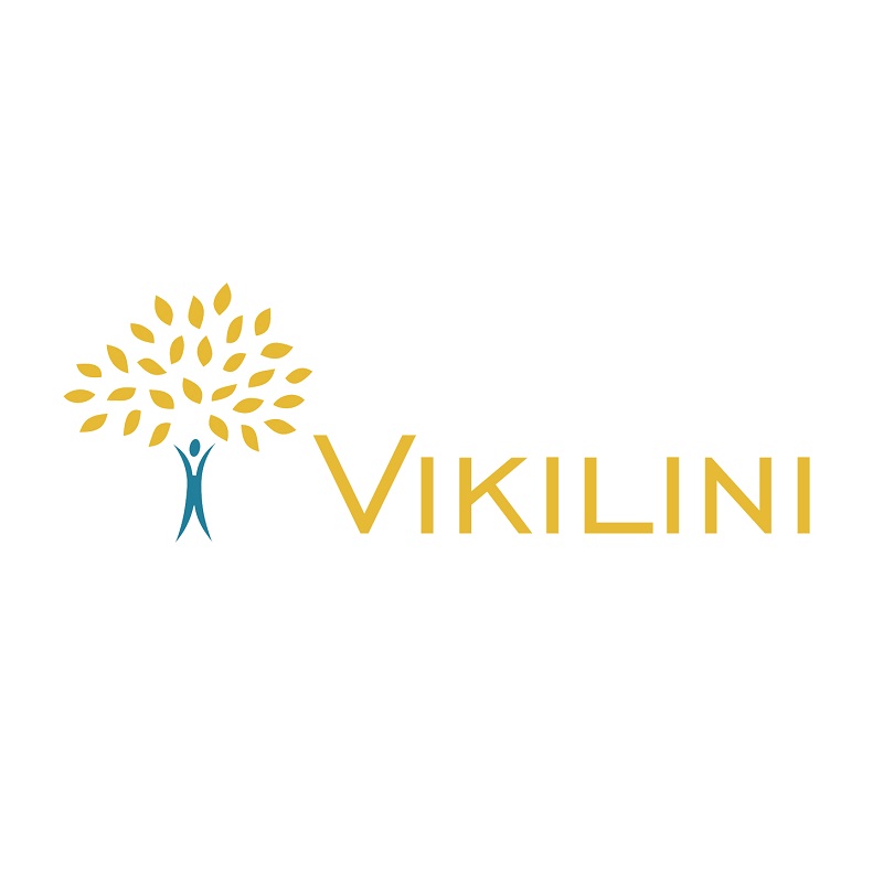 Клининговая компания Vikilini — логотип