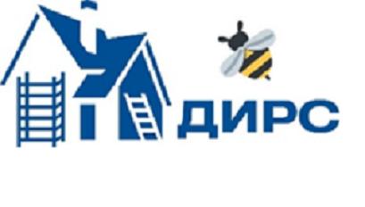 ДИРС СТРОЙ — логотип